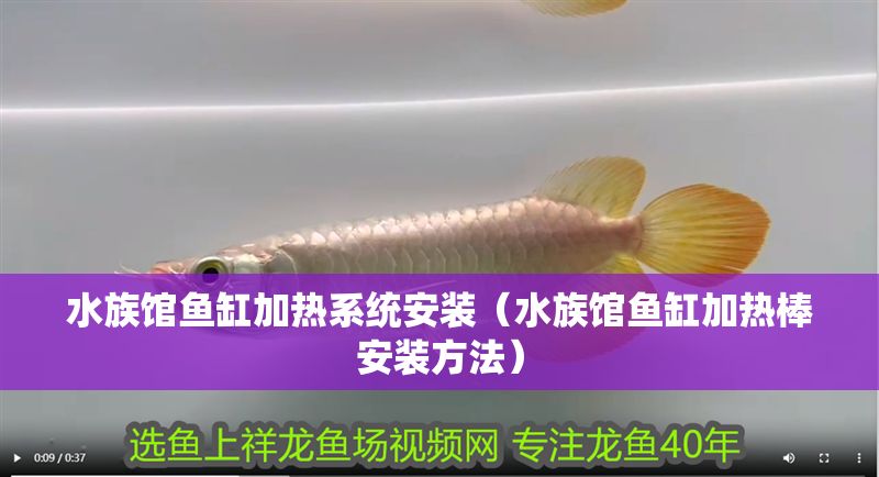 水族館魚缸加熱系統(tǒng)安裝（水族館魚缸加熱棒安裝方法）
