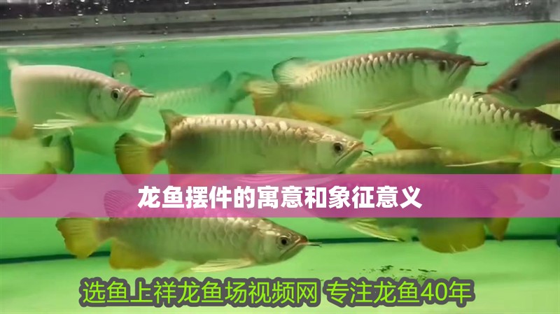 龍魚擺件的寓意和象征意義 龍魚擺件的寓意和象征意義 龍魚百科 第2張