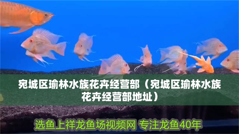 宛城區瑜林水族花卉經營部（宛城區瑜林水族花卉經營部地址）