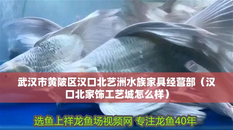 武漢市黃陂區(qū)漢口北藝洲水族家具經(jīng)營(yíng)部（漢口北家飾工藝城怎么樣）