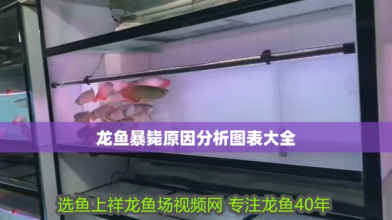 龍魚暴斃原因分析圖表大全