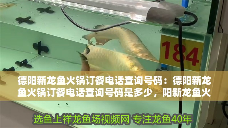 德陽新龍魚火鍋訂餐電話查詢號碼：德陽新龍魚火鍋訂餐電話查詢號碼是多少，陽新龍魚火鍋訂餐電話查詢，如何獲取德陽新龍魚火鍋的訂