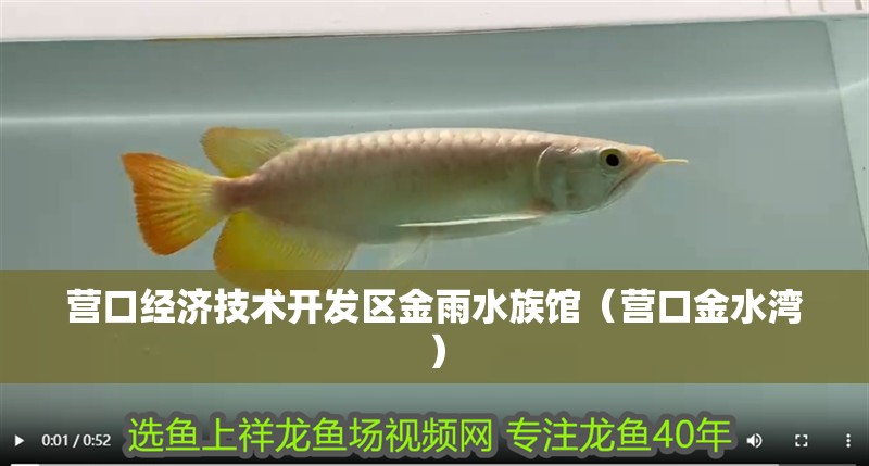 營口經濟技術開發區金雨水族館（營口金水灣）