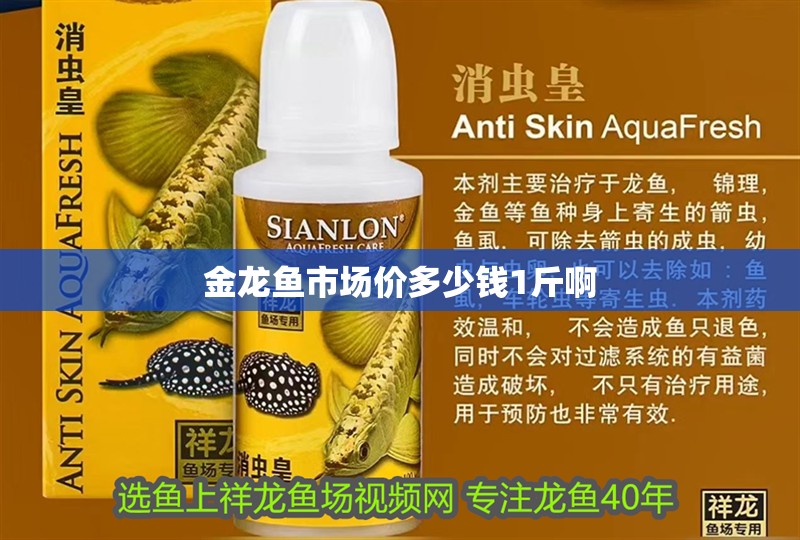 金龍魚市場價多少錢1斤啊