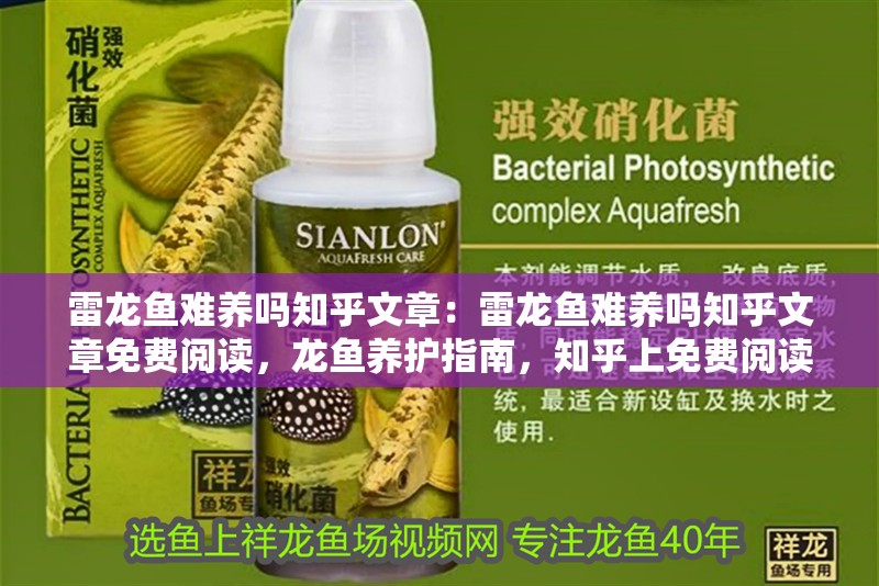 雷龍魚難養嗎知乎文章：雷龍魚難養嗎知乎文章免費閱讀，龍魚養護指南，知乎上免費閱讀的養魚經驗分享 雷龍魚難養嗎知乎文章：雷龍魚難養嗎知乎文章免費閱讀，龍魚養護指南，知乎上免費閱讀的養魚經驗分享 水族問答