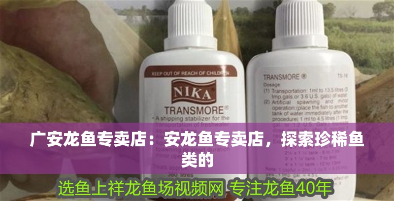 廣安龍魚專賣店：安龍魚專賣店，探索珍稀魚類的