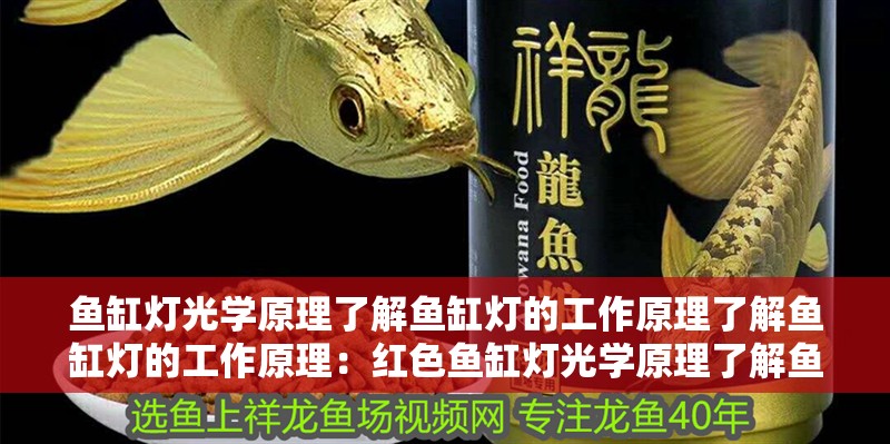 魚缸燈光學(xué)原理了解魚缸燈的工作原理了解魚缸燈的工作原理：紅色魚缸燈光學(xué)原理了解魚缸燈的工作原理了解魚缸燈的工作原理