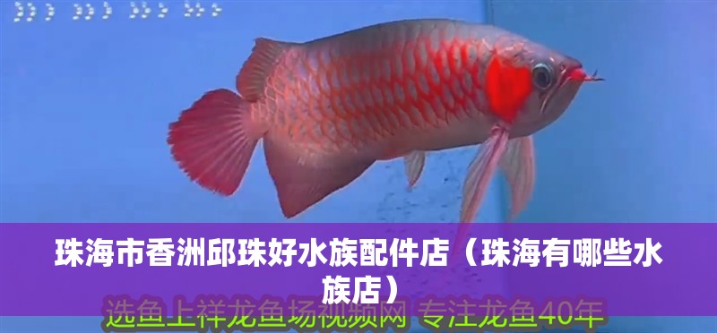 珠海市香洲邱珠好水族配件店（珠海有哪些水族店）