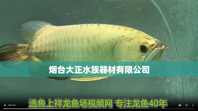 煙臺(tái)大正水族器材有限公司