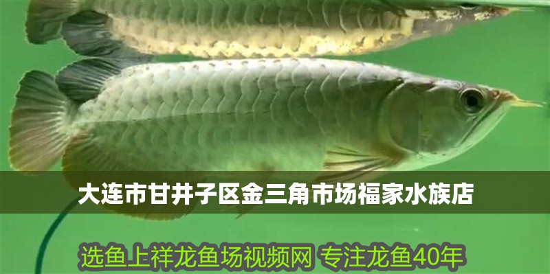 大連市甘井子區(qū)金三角市場(chǎng)福家水族店