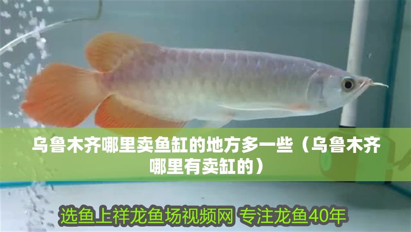 烏魯木齊哪里賣魚缸的地方多一些（烏魯木齊哪里有賣缸的）