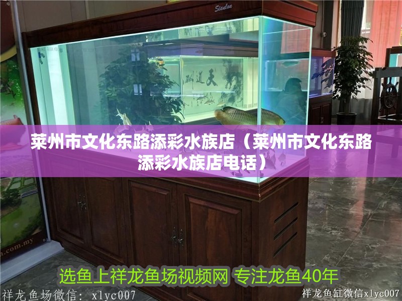 萊州市文化東路添彩水族店（萊州市文化東路添彩水族店電話） 萊州市文化東路添彩水族店（萊州市文化東路添彩水族店電話） 全國水族館企業名錄 第3張