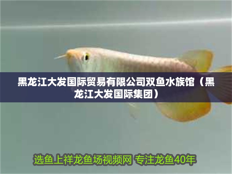 黑龍江大發(fā)國際貿(mào)易有限公司雙魚水族館（黑龍江大發(fā)國際集團）