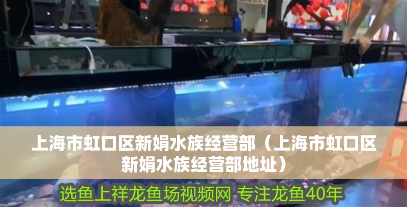 上海市虹口區(qū)新娟水族經營部（上海市虹口區(qū)新娟水族經營部地址）
