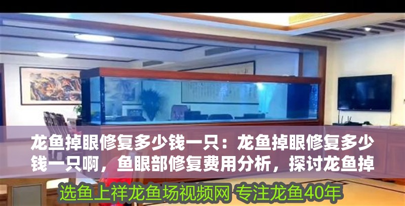 龍魚掉眼修復多少錢一只：龍魚掉眼修復多少錢一只啊，魚眼部修復費用分析，探討龍魚掉眼修復的市場價格