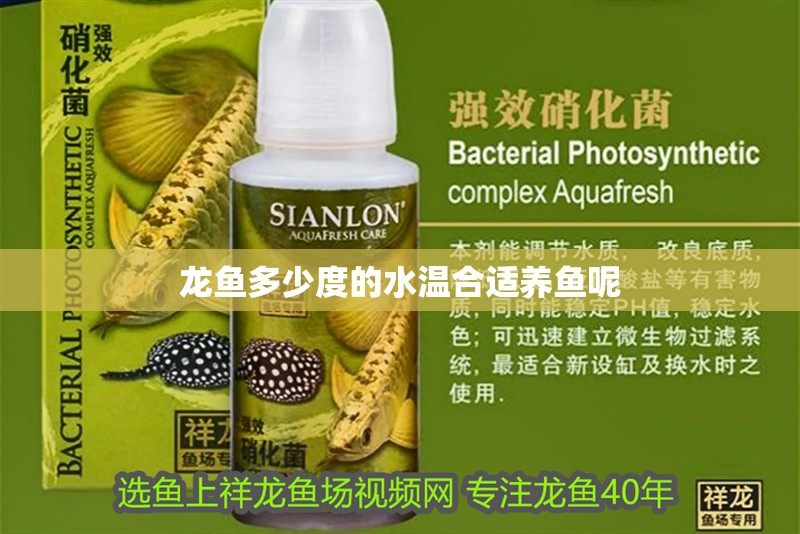 龍魚多少度的水溫合適養魚呢