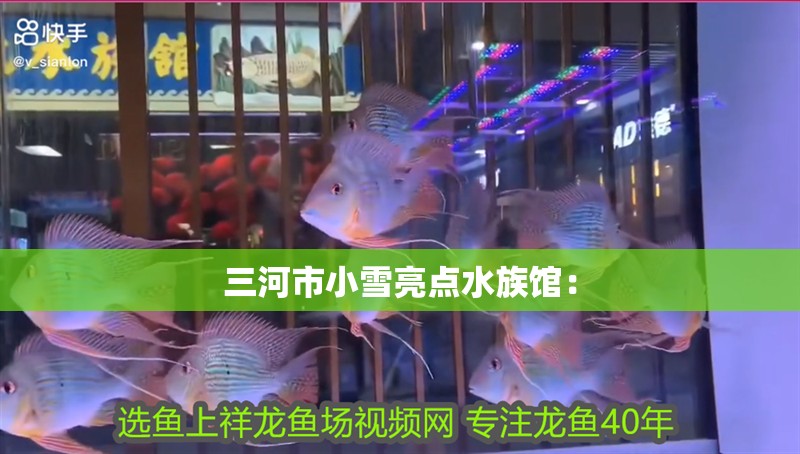 三河市小雪亮點水族館：