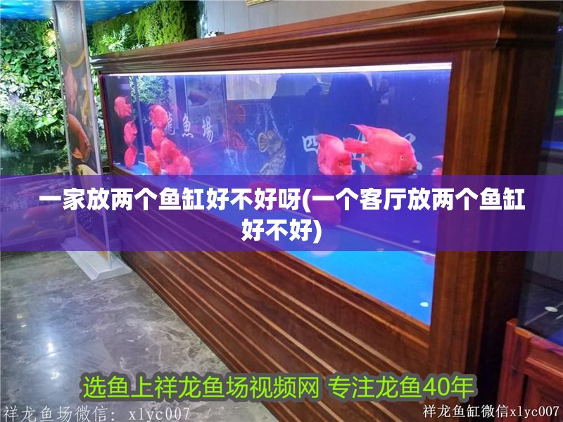 一家放兩個魚缸好不好呀(一個客廳放兩個魚缸好不好)