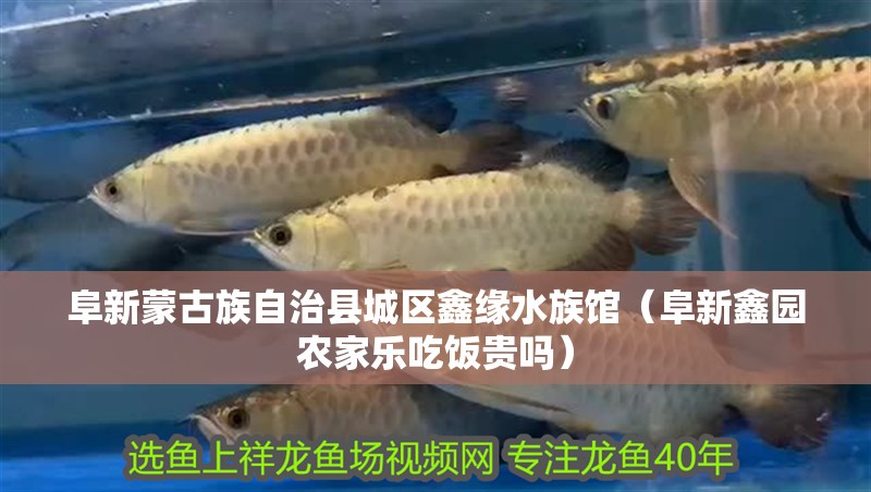 阜新蒙古族自治縣城區(qū)鑫緣水族館（阜新鑫園農(nóng)家樂吃飯貴嗎）