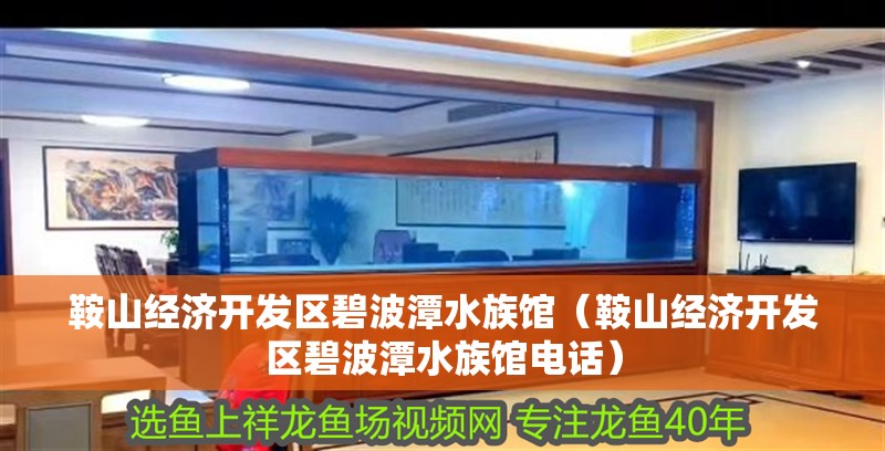 鞍山經濟開發區碧波潭水族館（鞍山經濟開發區碧波潭水族館電話）