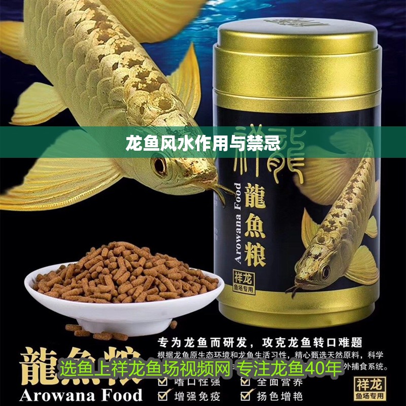 龍魚風水作用與禁忌