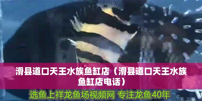 滑縣道口天王水族魚缸店（滑縣道口天王水族魚缸店電話） 滑縣道口天王水族魚缸店（滑縣道口天王水族魚缸店電話） 全國水族館企業(yè)名錄 第2張