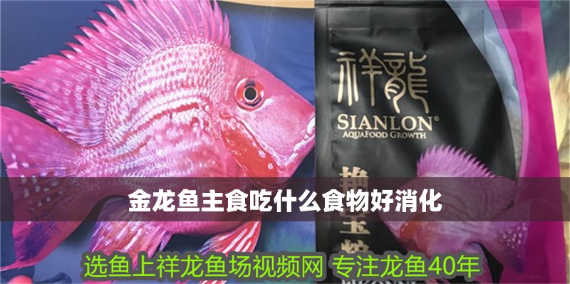 金龍魚主食吃什么食物好消化