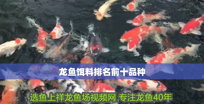 龍魚餌料排名前十品種