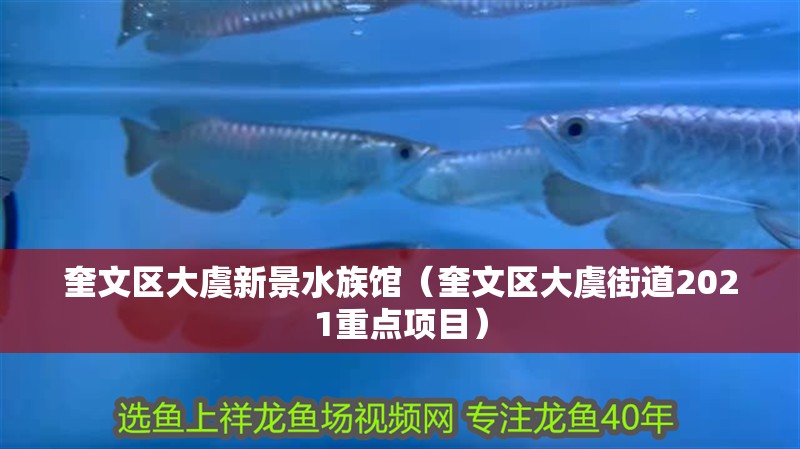 奎文區大虞新景水族館（奎文區大虞街道2021重點項目）