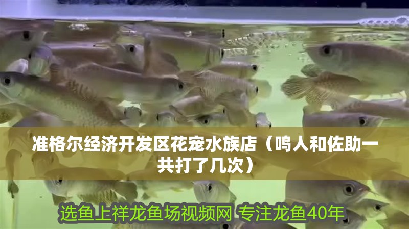 準格爾經濟開發區花寵水族店（鳴人和佐助一共打了幾次）