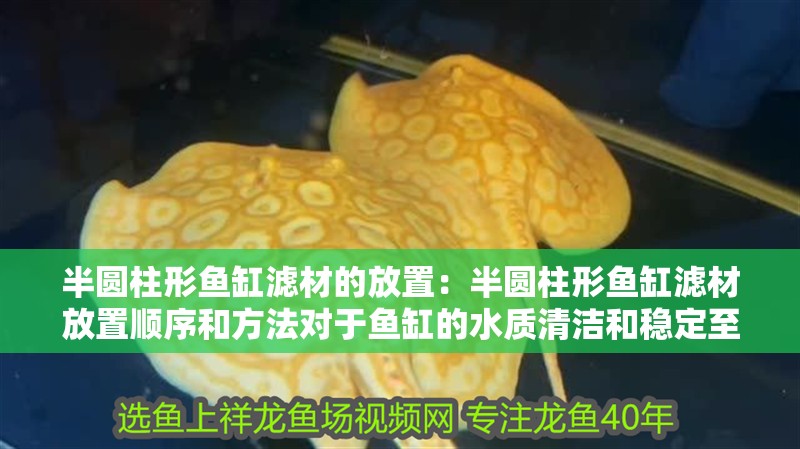 半圓柱形魚缸濾材的放置：半圓柱形魚缸濾材放置順序和方法對于魚缸的水質清潔和穩定至關重要 半圓柱形魚缸濾材的放置：半圓柱形魚缸濾材放置順序和方法對于魚缸的水質清潔和穩定至關重要 魚缸百科