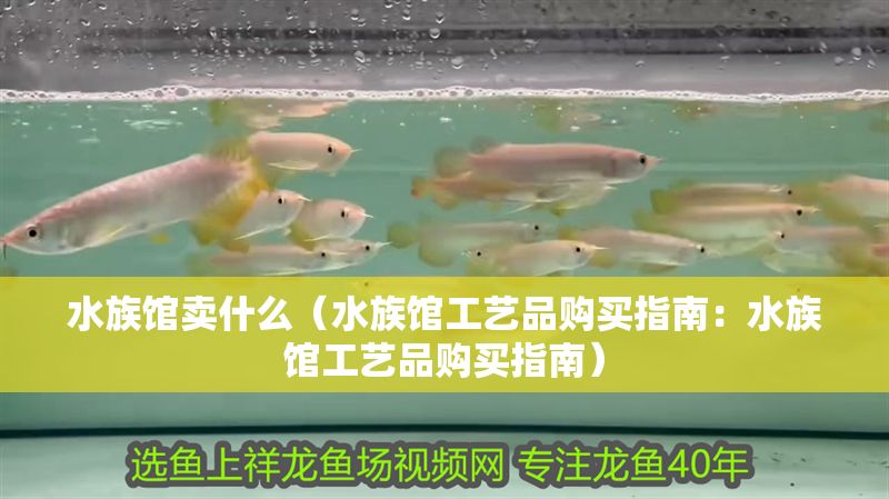 水族館賣什么（水族館工藝品購買指南：水族館工藝品購買指南）