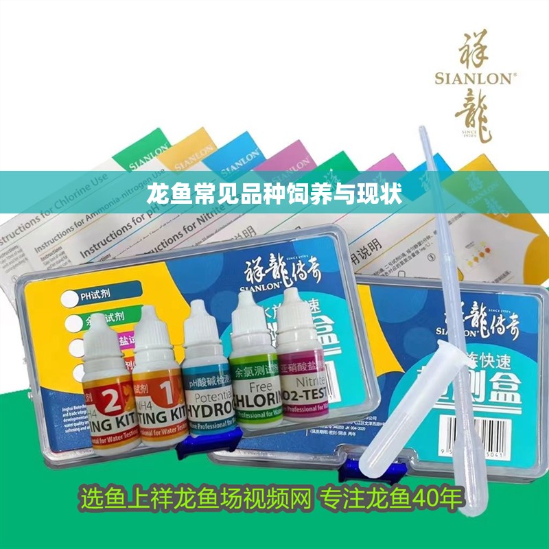 龍魚常見品種飼養與現狀