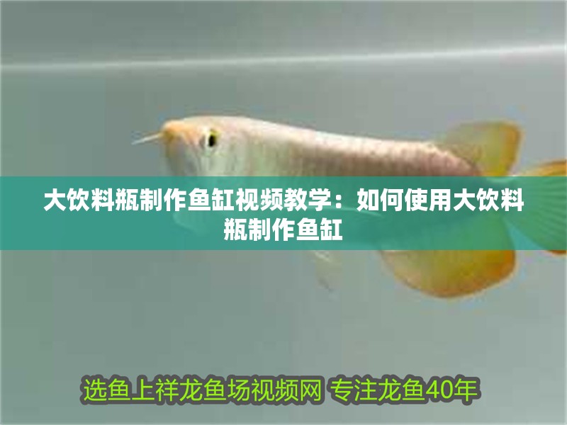 大飲料瓶制作魚缸視頻教學(xué)：如何使用大飲料瓶制作魚缸