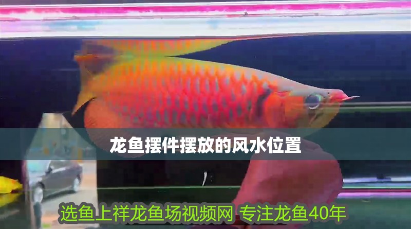 龍魚擺件擺放的風水位置