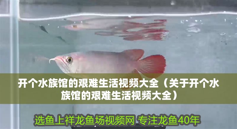 開個水族館的艱難生活視頻大全（關于開個水族館的艱難生活視頻大全）