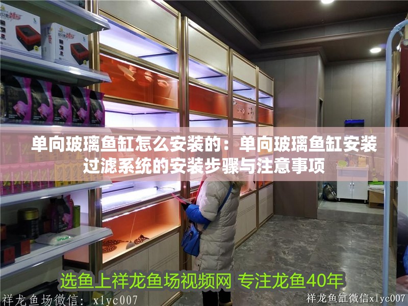 單向玻璃魚缸怎么安裝的：單向玻璃魚缸安裝過濾系統的安裝步驟與注意事項