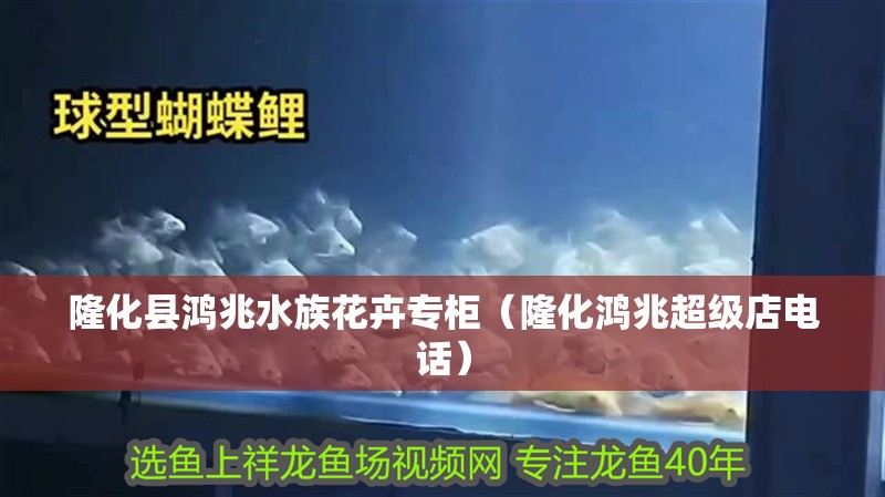 隆化縣鴻兆水族花卉專柜（隆化鴻兆超級店電話）