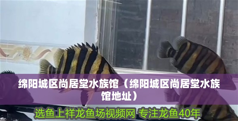 綿陽城區(qū)尚居堂水族館（綿陽城區(qū)尚居堂水族館地址）