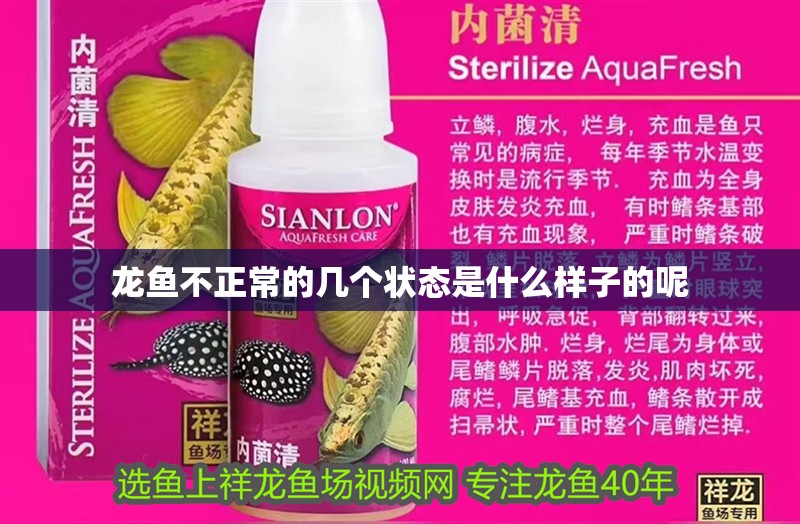 龍魚不正常的幾個狀態是什么樣子的呢