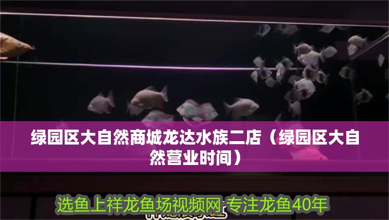 綠園區大自然商城龍達水族二店（綠園區大自然營業時間）