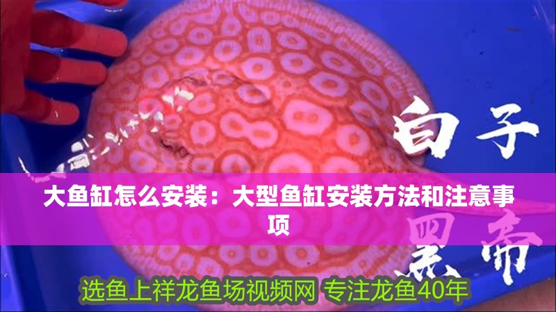 大魚缸怎么安裝：大型魚缸安裝方法和注意事項