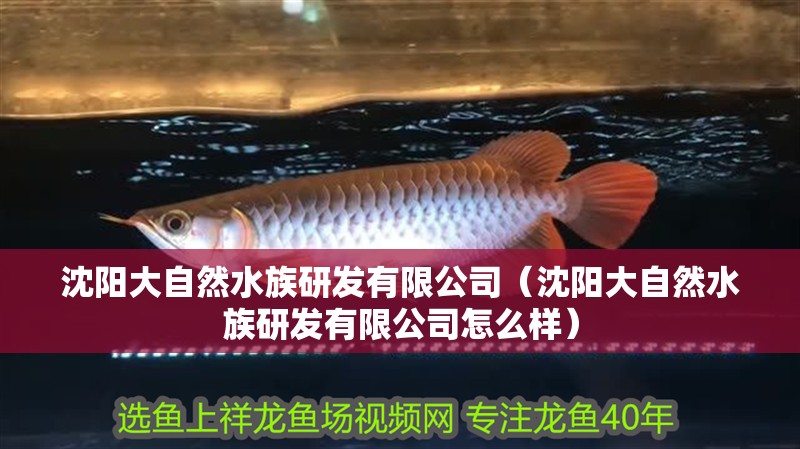 沈陽大自然水族研發有限公司（沈陽大自然水族研發有限公司怎么樣）