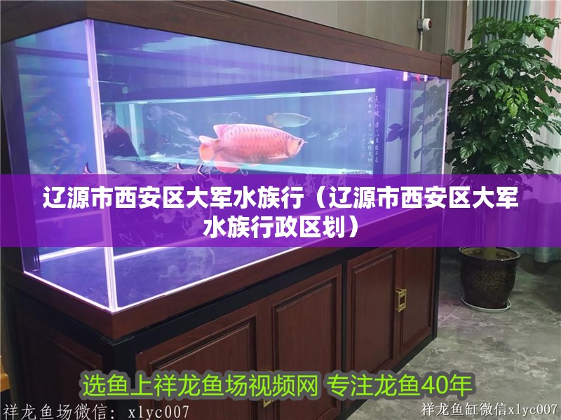遼源市西安區(qū)大軍水族行（遼源市西安區(qū)大軍水族行政區(qū)劃）