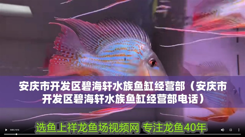安慶市開發(fā)區(qū)碧海軒水族魚缸經(jīng)營部（安慶市開發(fā)區(qū)碧海軒水族魚缸經(jīng)營部電話）