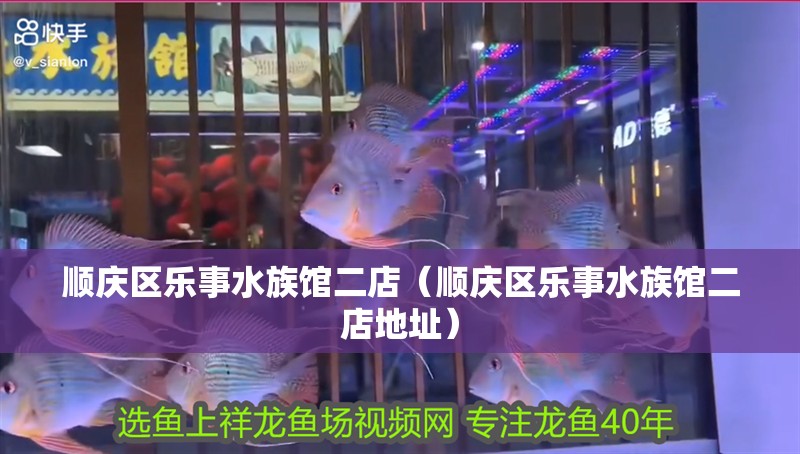 順慶區(qū)樂事水族館二店（順慶區(qū)樂事水族館二店地址）