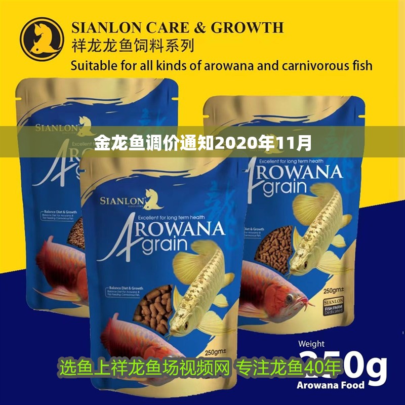 金龍魚調價通知2020年11月