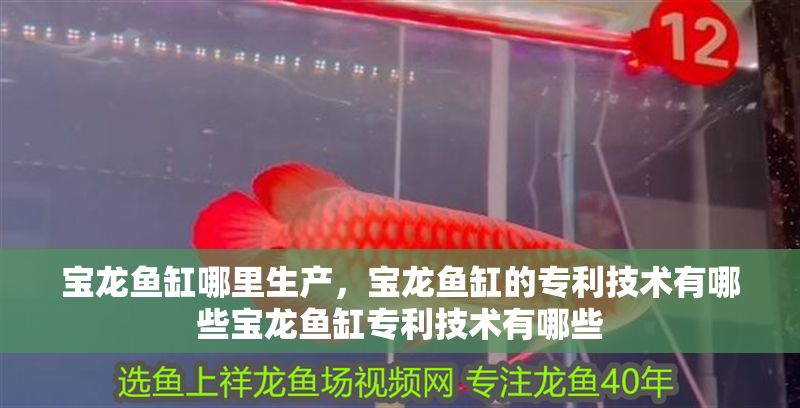 寶龍魚缸哪里生產(chǎn)，寶龍魚缸的專利技術(shù)有哪些寶龍魚缸專利技術(shù)有哪些