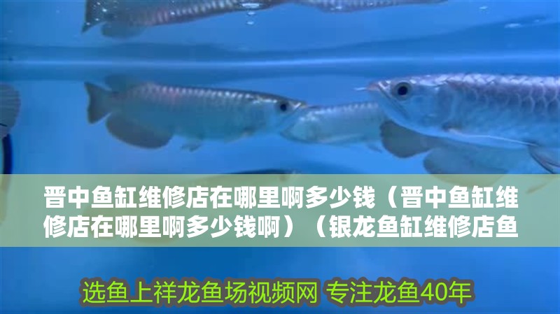 晉中魚缸維修店在哪里啊多少錢（晉中魚缸維修店在哪里啊多少錢啊）（銀龍魚缸維修店魚缸漏水維修費用在哪里）
