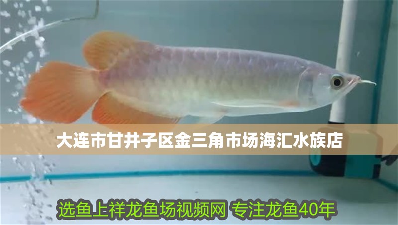 大連市甘井子區(qū)金三角市場(chǎng)海匯水族店